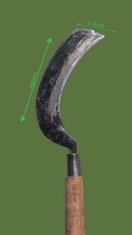 Arit Deres Sadap Kelapa