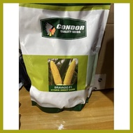 ✔ ❖ ◨ Bravado F1 Hybrid sweet corn kg