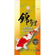 [台中水族] 福壽 錦鯉揚色飼料-20kg-大粒 特價 金魚