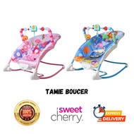 Tamie Bouncer Infant rocking bouncer, newborn chair, and toddler rocking chair