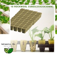 Hydroponics Rockwool Cubes for Soilless Planting (10 Cubes 25mmX25mmX30mm)