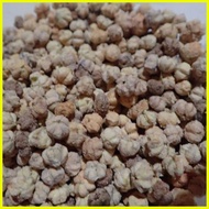 ❖ ♚ ◵ Karamay / Kalamay / gooseberry seeds exotic fruit