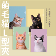 《萌毛貓》2021年年曆系列單層式L夾／4入一套【臺北市流浪貓保護協會】 (新品)