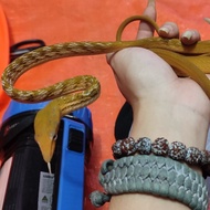ahaetulla prasina morph hypo/ular pucuk hypo