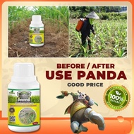 KILL GRASS PANDA RAJA PEMBUNUH GULMA 100ML