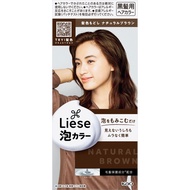 [TATjp] KAO Prettyia Liese Foam Color Restore Hair Color Natural Brown 108mL (Quasi-drug) Hair Color Restoration for Black Hair Black hair coloring [TATjp] Ship from JP