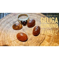 Buah Cincin Aura Wali Raja Kayu Geliga Asli Puncak Gunung