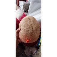 Koi filter media fishing net