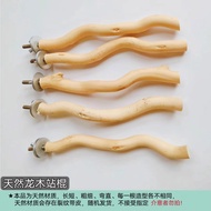 Burung Burung Perch Asli Dragonwood Perch Kayu Pejal Melengkung Batang Perch Perch Roller Perch Bar 