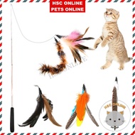 Cat Toy Teaser Replaceable Extendable Fish Rod Stick Feather Tail Worm Fly Wand Kitten Mainan Kucing Barang Kucing Kecil