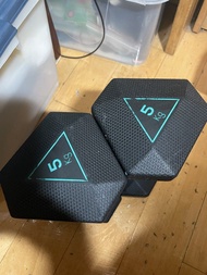 一對 5KG 啞鈴