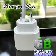 20W Charger Head – Two-Prong Type – White Color