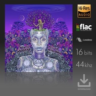Erykah Badu - New Amerykah Part Two [Return of the Ankh] - Digital Download - [FLAC] Hi-Res Audio