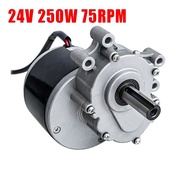 อุปกรณ์เสริมมอเตอร์แปรงมอเตอร์ไฟฟ้า My1016Z มอเตอร์เกียร์ มอเตอร์ทดเกียร์ 75R/Min 24V250W สําหรับเคร