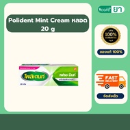 Polident Product/Polident Mint Cream Tube 20 g/60 g/Polident Effervescent Tablets/Polident Pro Retai