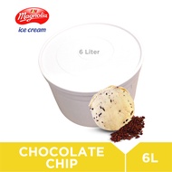 Magnolia Chocolate Chips 6L Ice Cream