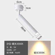 LED ceiling downlight with the lamp of adjustable Angle of a single small household track light type