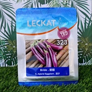 Paket 10g (2000 Biji) BRIDE 323 Leckat Biji Benih Terung Mini Purple F1 Hybrid Mini Eggplant Seeds Ganti 313 Ready Stock