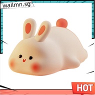 Night Light,Cute Silicone Lamp, Dimmable Light Up Bunny, Night Lamp,Rechargeable Bunny Nightlight, B