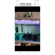 Full Aquarium Set Fish Tank 3ft Air Pump  Dolphin Filter