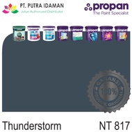 CAT TEMBOK PROPAN 25 KG - NT 817 Thunderstorm