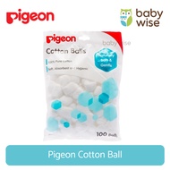 Pigeon Cotton Ball - Cotton Ball