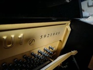 Yamaha U1