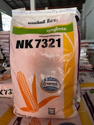 NK 7321 ขนาด 3.5 หุน เมล็ดพันธุ์ข้าวโพดเลี้ยงสัตว์ 🌽