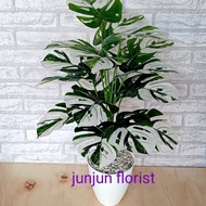 Tanaman Hias Plastik Monstera Pot Tawon//Bunga Sudut Monstera Plastik