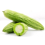 Bitter Gourd / Peria (+/-500g)