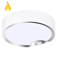 Motion Sensor Ceiling Lights Battery Powered Indoor / Outdoor LED Ceiling Lights for Corridor Laundry Room