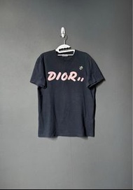 Dior kaws短袖