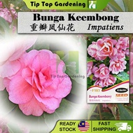 F103 BUNGA KEEMBONG IMPATIENS JC GARDEN FLOWER SEED BIJI BENIH