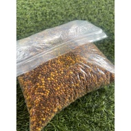 Baja osmocote 14-14-14