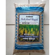 ready Benih bibit padi ciputri / ciherang malay panjang kemasan 5kg