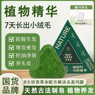 Seven Green Platycladus Leaf Shampoo Soap Anti-Itch Oil Control Anti-Hair Loss Seven green arborvita