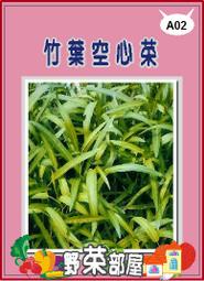 【野菜部屋~】A02竹葉空心菜種子1斤 (約12500粒) , 俗稱"小本應菜" ~
