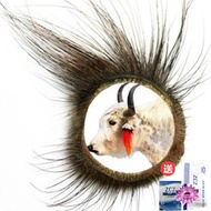 Mountain Sheep Eye Ring Sheep Eye Ring Adult Home Eyelash