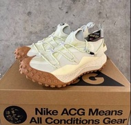 🌺全新100% NIKE ACG Mountain Fly Low GTX SE 機能防水戶外功能鞋 男女同款 嫩綠色