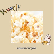 hamster/small pet  snacks .popcorn仓鼠玉米爆米花 仓鼠零食