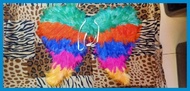∛ ✮ ∟ IBONG ADARNA WINGS KID SIZE