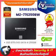 MZ-77E250BW Samsung เอสเอสดี SSD 870 EVO SATA III 250GB By Vnix Group