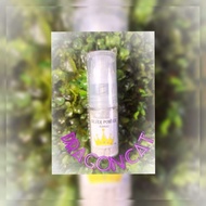 Edible Gold Silver Spray powder 15g