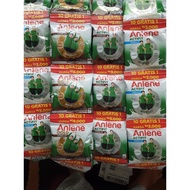 ANLENE RENGENG ACTIFIT 3x GOLD 5x EXP/. 2027 (Random New & New Packaging) Anlene Gold 5x Anlene Milk