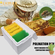 CYMX Queen Bee Breeding Box, Waterproof Beekeeping Equipment Beekeeper Garden Pollination Box, Foam 