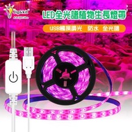 Jig & Kit - 植物生長燈丨LED燈帶丨種植補光燈丨全光譜USB觸摸調光丨防水植物燈 丨粉紫1米/防水（8126）