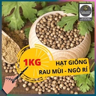 1KG Purple Coriander Seeds (Small Coriander, Coriander)