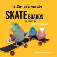 สเก็ตบอร์ด ของเล่นนก skateboard ของเล่นนกเล็ก สเก็ตบอร์ดของเล่นสัตว์เลี้ยง ของเล่นนกแก้ว