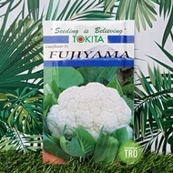 Paket 10g FUJIYAMA F1 Tokita Seed Japan Biji Benih Bunga Kubis F1 Hybrid Cauliflower Seeds Ready Sto