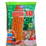 Terlaris Benih Jagung Hibrida Bisi 18 Isi 1Kg Jagung Bisi18 Bibit